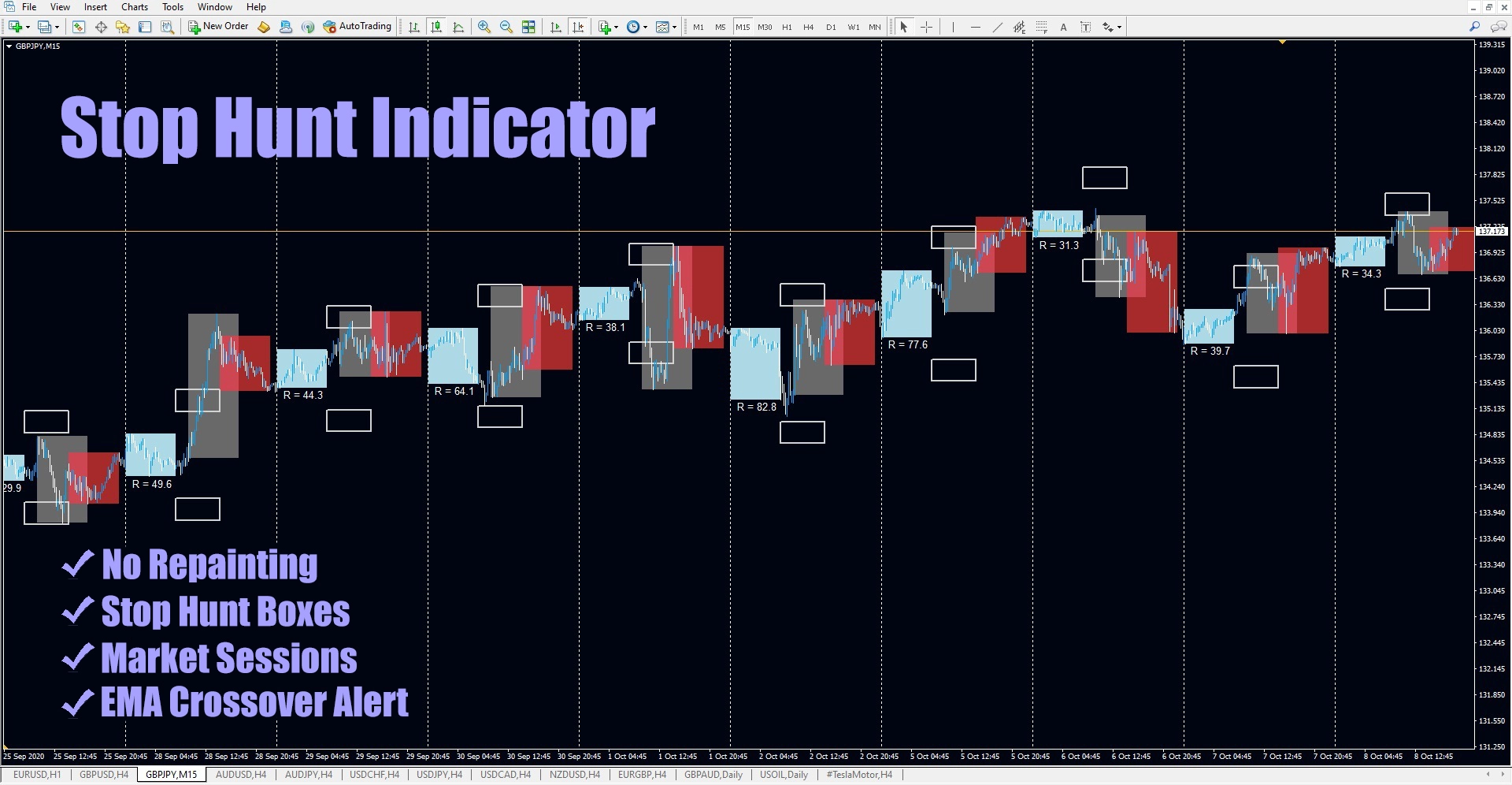 Stop Hunt Indicator Image
